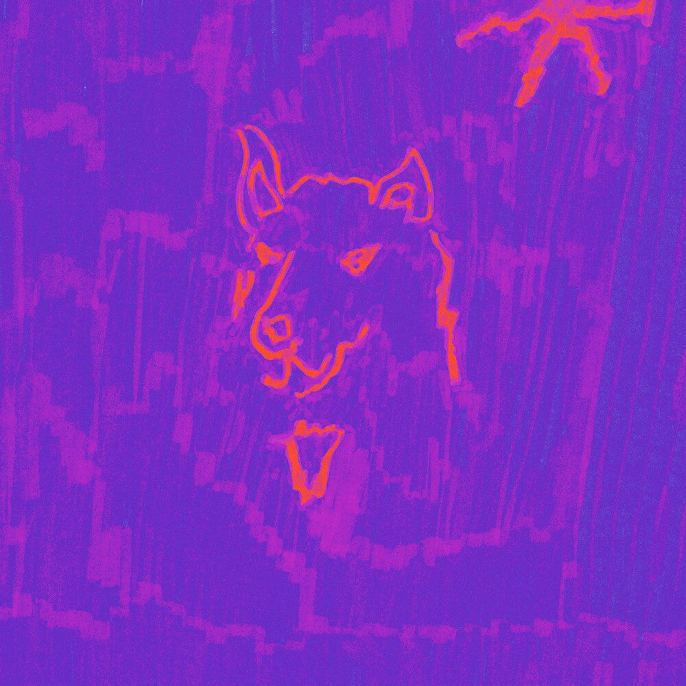 the album cover for Dehd - Poetry [CD]