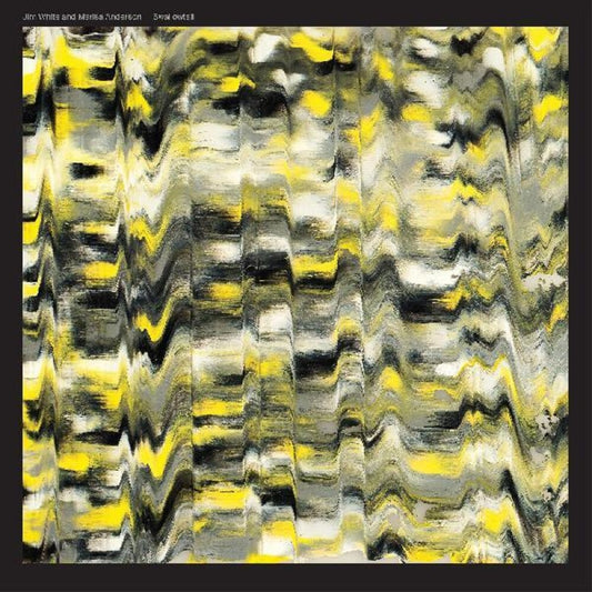 the album cover for Jim White  / Anderson,Marisa - Swallowtail [Clear Vinyl] (Ylw) [Indie Exclusive] [Download Included]