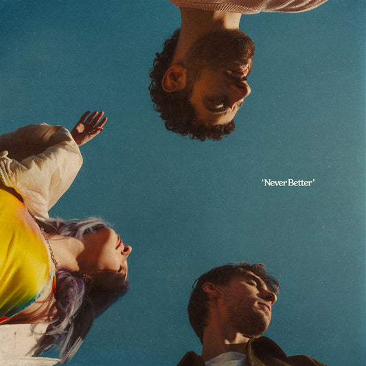 the album cover for Wild Rivers - Never Better [LP]