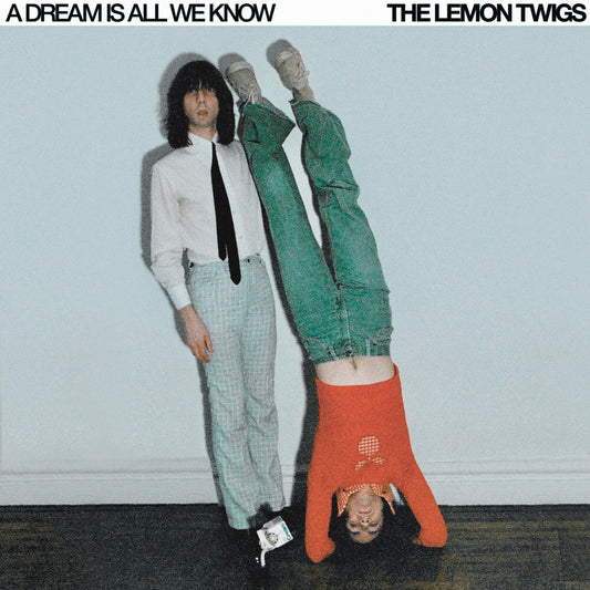 the album cover for Lemon Twigs - Dream Is All We Know
