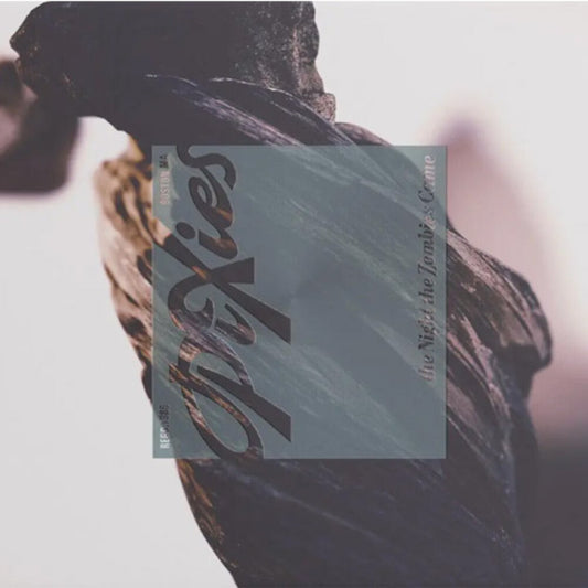 the album cover for Pixies - The Night The Zombies Came [CD]