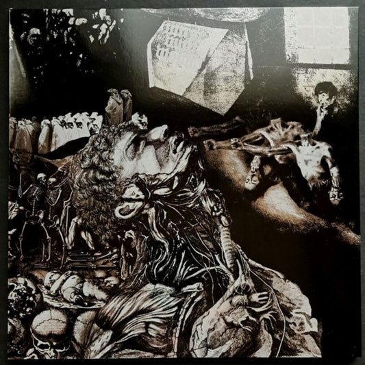 the album cover for Nurse With Wound - Merzbild Schwet (Blk) [Colored Vinyl] (Slv) (Uk)
