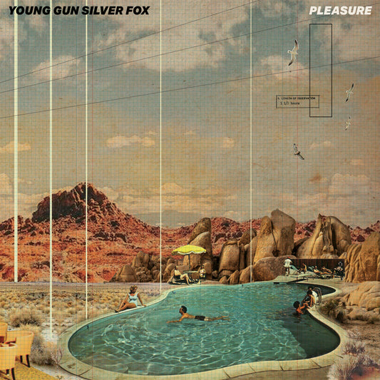 the album cover for Young Gun Silver Fox - Pleasure