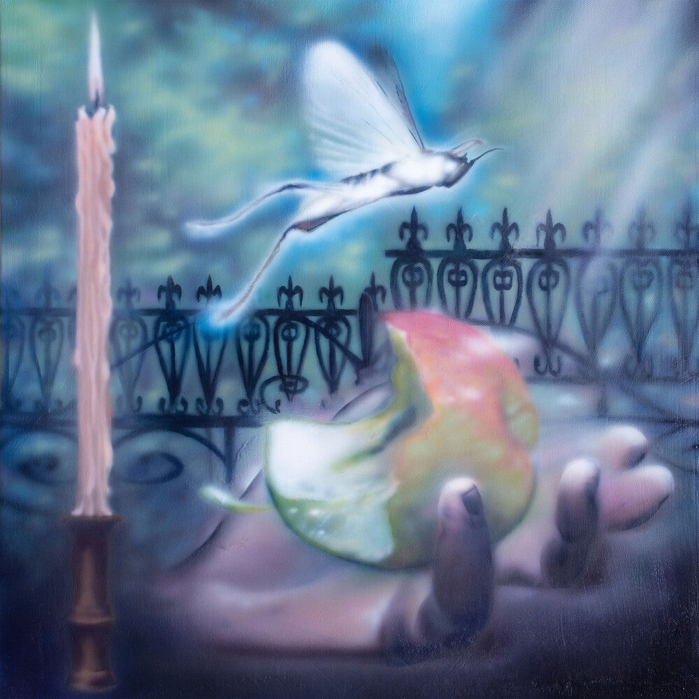 the album cover for Sea Lemon - Diving For A Prize