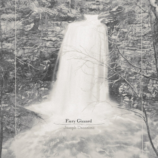 the album cover for Joseph Decosimo - Fiery Gizzard