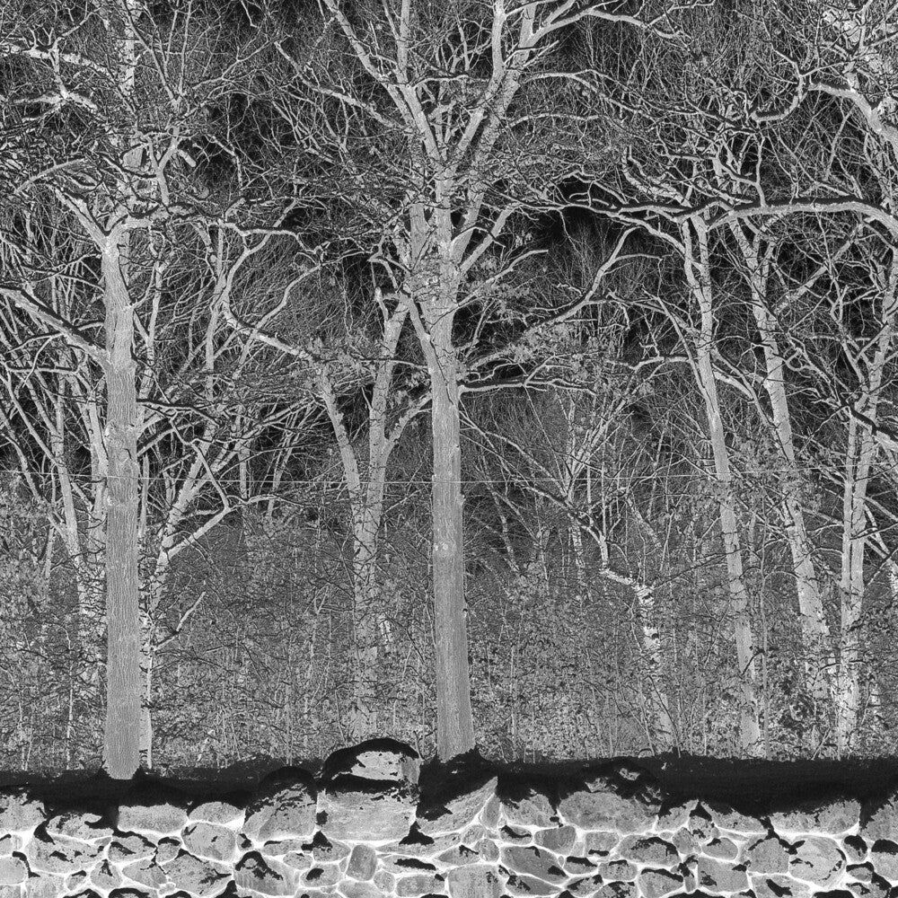 the album cover for Pile - Sunshine & Balance Beams