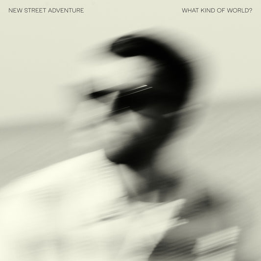 the album cover for New Street Advanture - What Kind Of World?