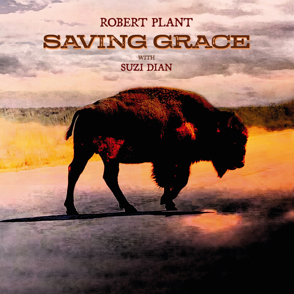 the album cover for Robert Plant - Saving Grace [Black LP]