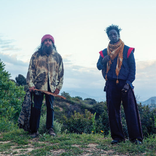 the album cover for Saul Williams  / Nino,Carlos - Saul Williams Meets Carlos Nino & Friends At [With Booklet]