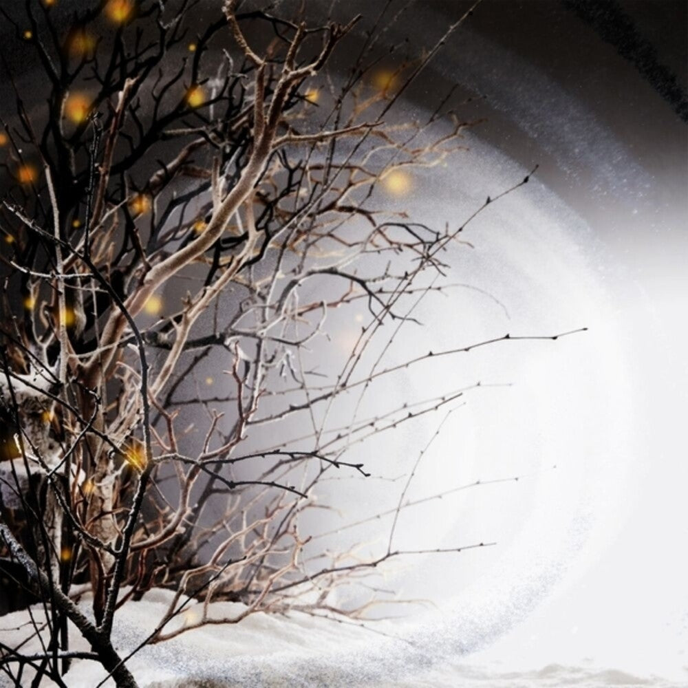 the album cover for Winterlight - Winterlight