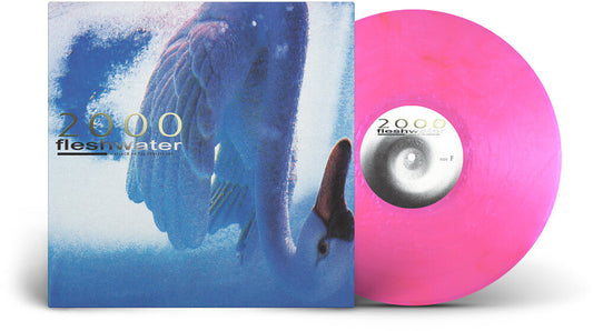 the album cover for Fleshwater - 2000: In Search Of The Endless Sky [Indie Exclusive Fluorescent Pink LP]