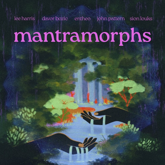 the album cover for Lee Harris  / Bozic,Davor - Mantramorphs