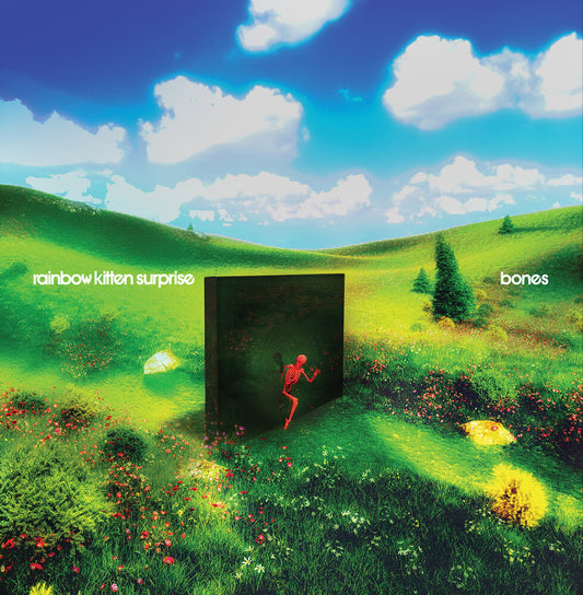 the album cover for Rainbow Kitten Surprise - bones [Indie Exclusive Banana LP]