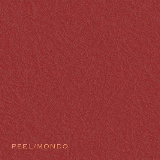 the album cover for Ada Rave - Peel/Mondo