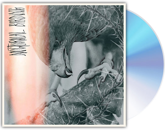 the album cover for Author &amp; Punisher - Nocturnal Birding