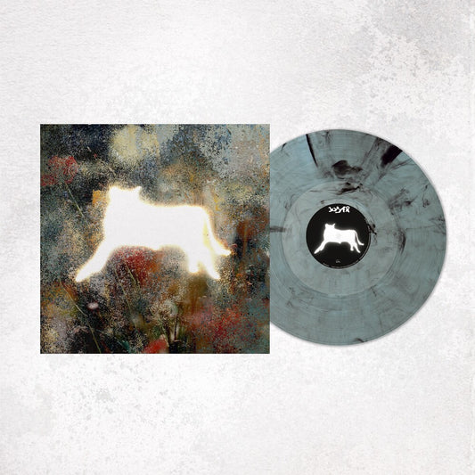 the album cover for Joyer - On The Other End Of The Line [Colored Vinyl]