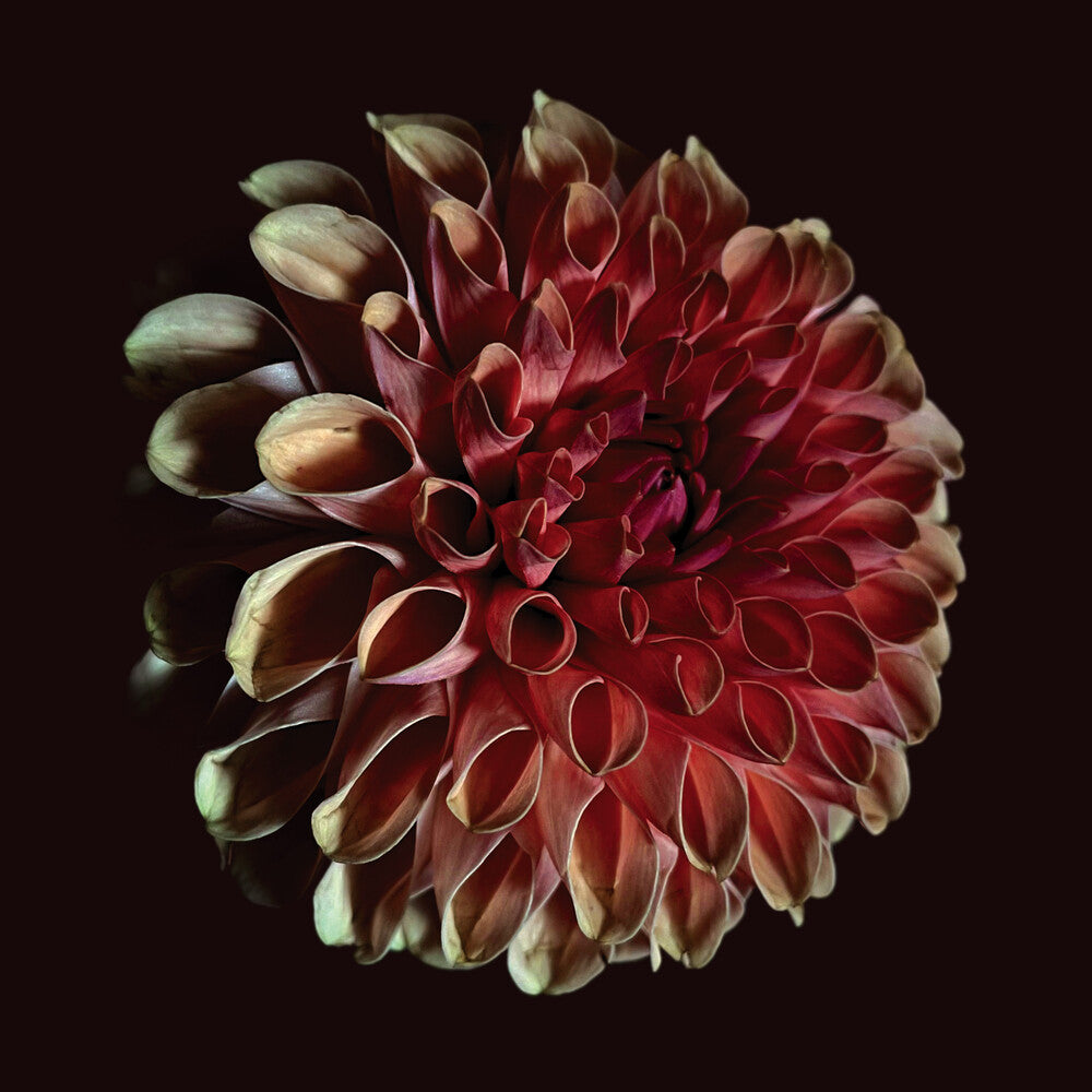 the album cover for Jessica Moss - Unfolding