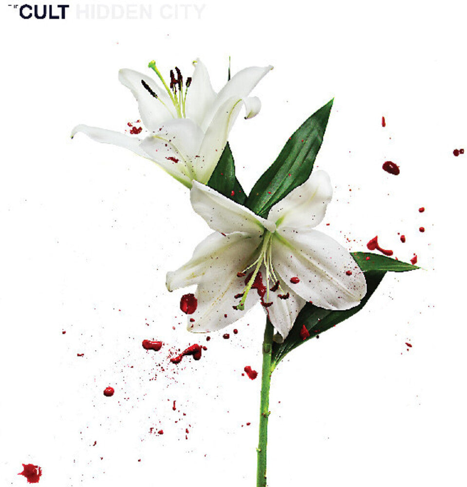 the album cover for Cult - Hidden City (Audp) (Frpm) (Gate) (Numb)
