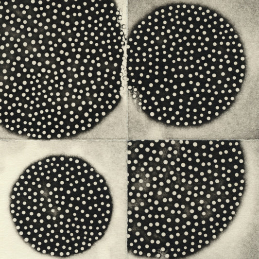 the album cover for K Leimer . - Resting Forms