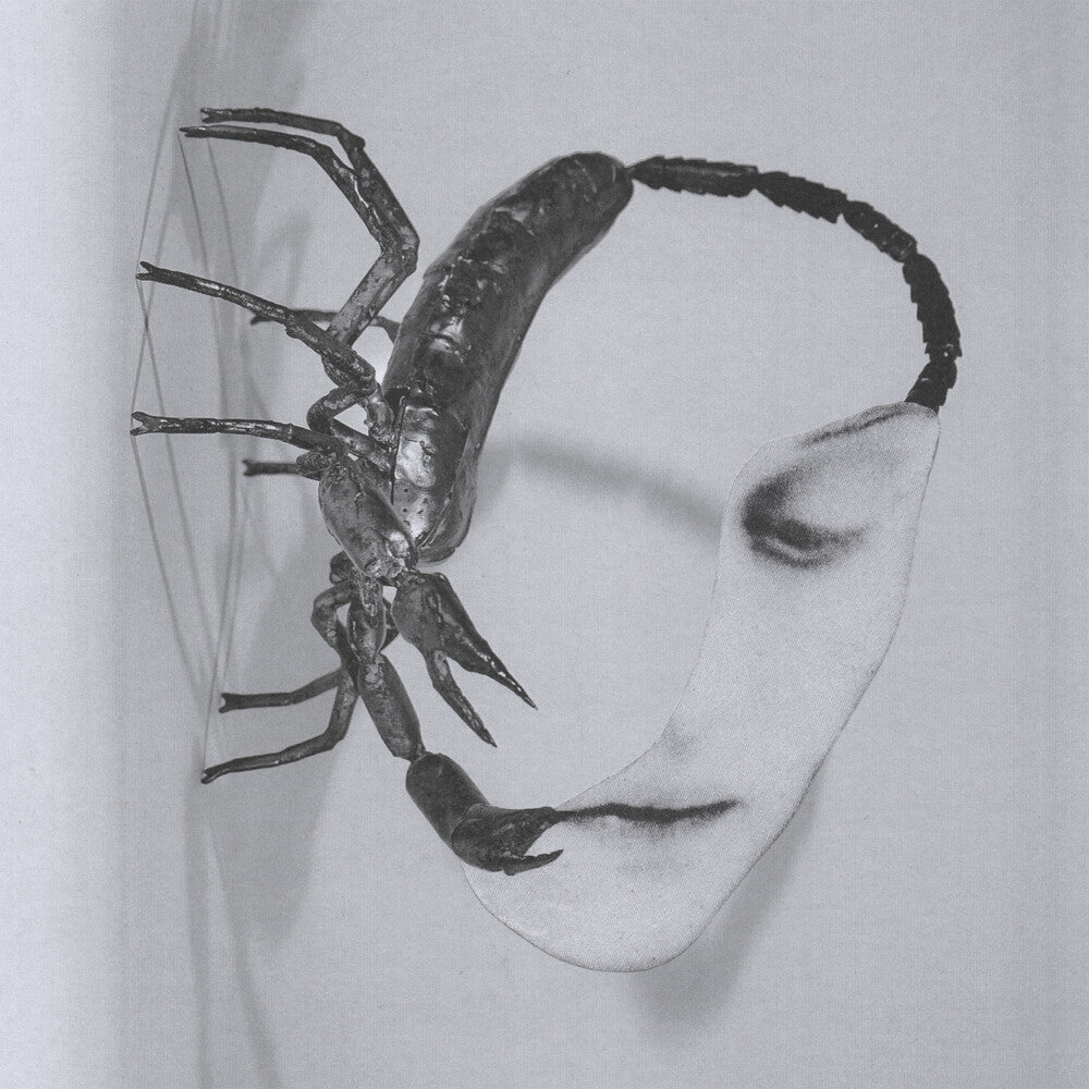 the album cover for Tortoise - Touch