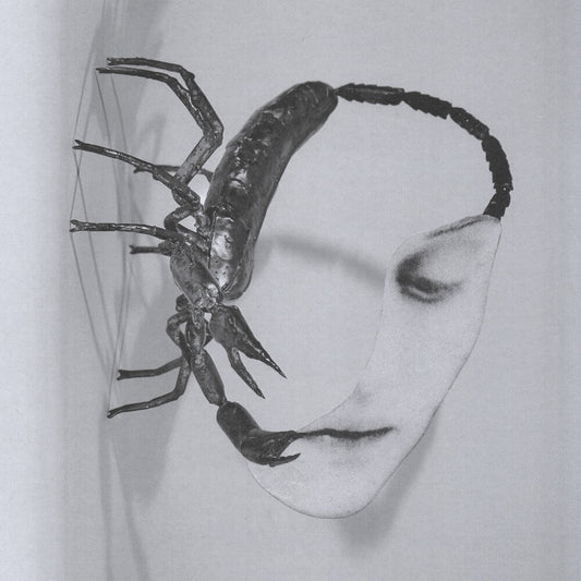 the album cover for Tortoise - Touch