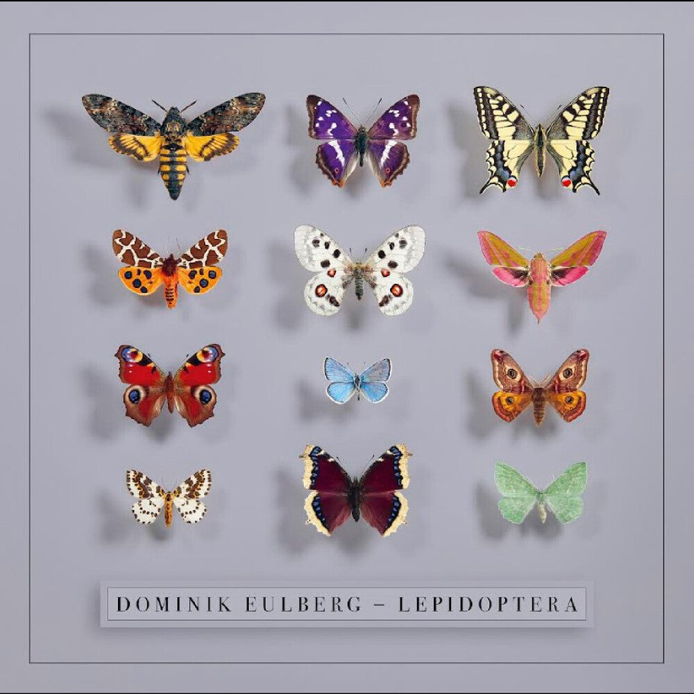 the album cover for Eulberg, Dominik - Lepidoptera