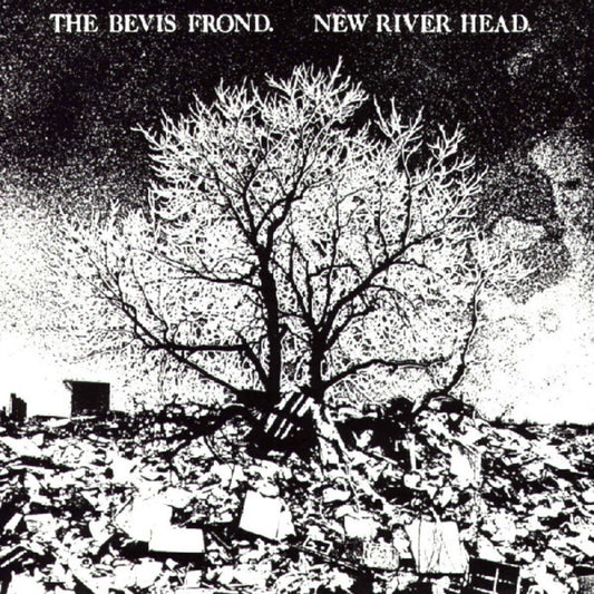 the album cover for Bevis Frond - New River Head
