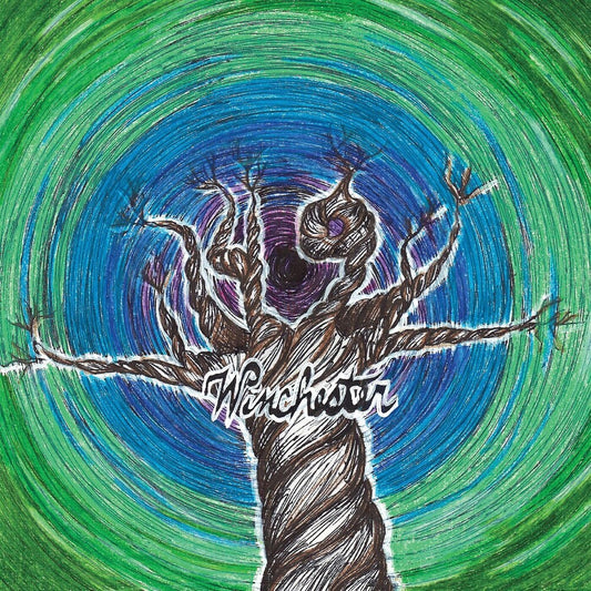 the album cover for 49 Winchester - 49 Winchester