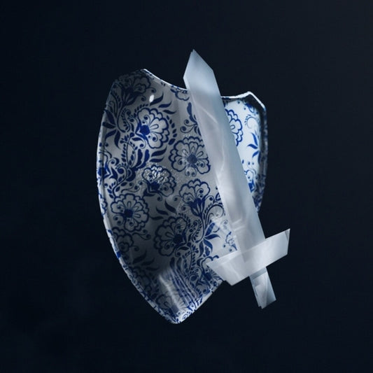 the album cover for Sue, Mary / Clementi Sound Appreciation Club - Porcelain Shield, Paper Sword