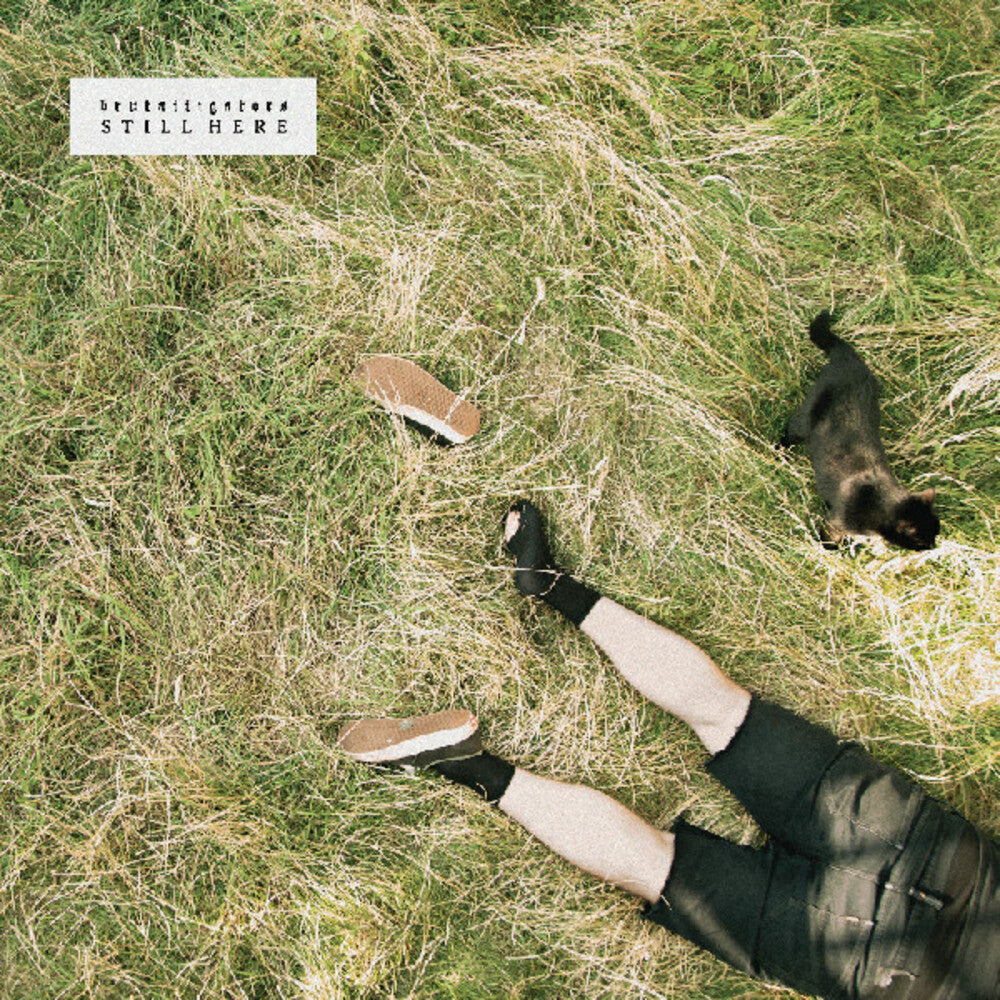 the album cover for Brutalligators - Still Here [Colored Vinyl] (Grn) [Indie Exclusive] (Mrb)