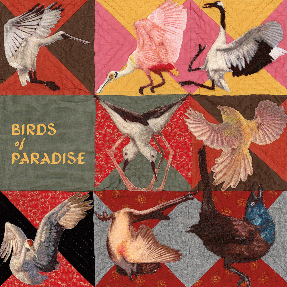 the album cover for Thomas Dollbaum - Birds Of Paradise