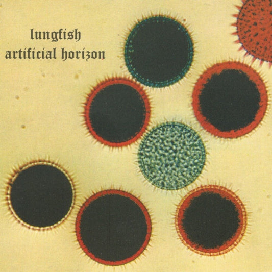 the album cover for Lungfish - Artificial Horizon - Silver [Colored Vinyl] (Slv) [Reissue]