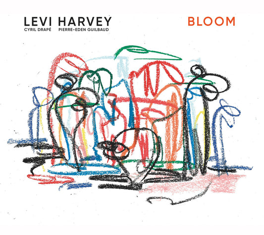 the album cover for Levi Harvey - Bloom