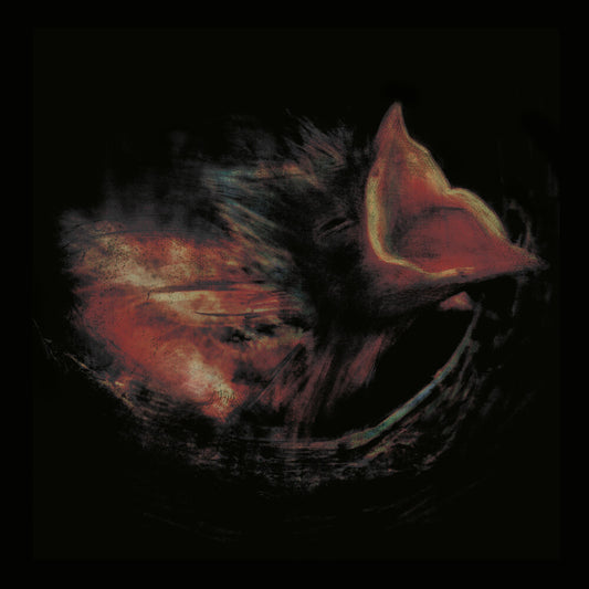 the album cover for Gurriers - Nobody's Coming To Save You [Indie Exclusive Transparent Teal]