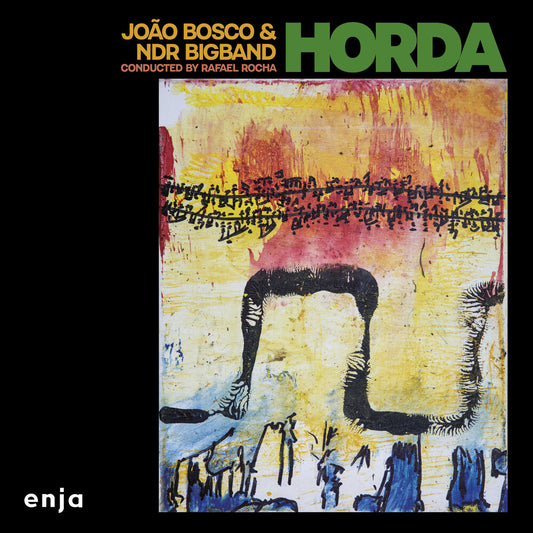 the album cover for Joao & Ndr Big Band Bosco - Horda