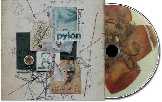 the album cover for beabadoobee - Pylon [Digipak]