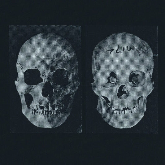 the album cover for Government Alpha - Human Race Was Restored To Life Repeatedly