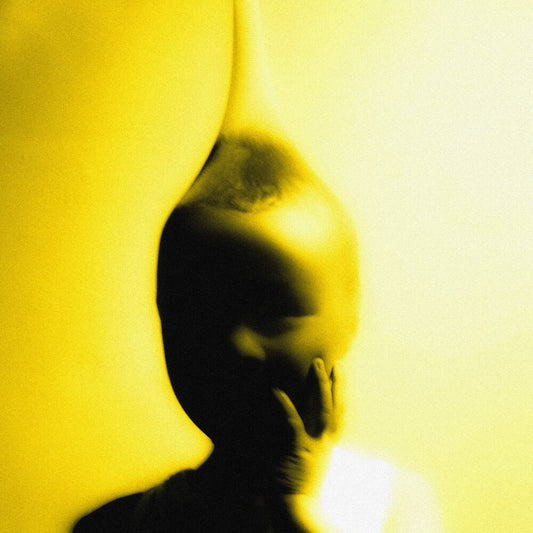 the album cover for Lemonsuckr - Life Is A Heist