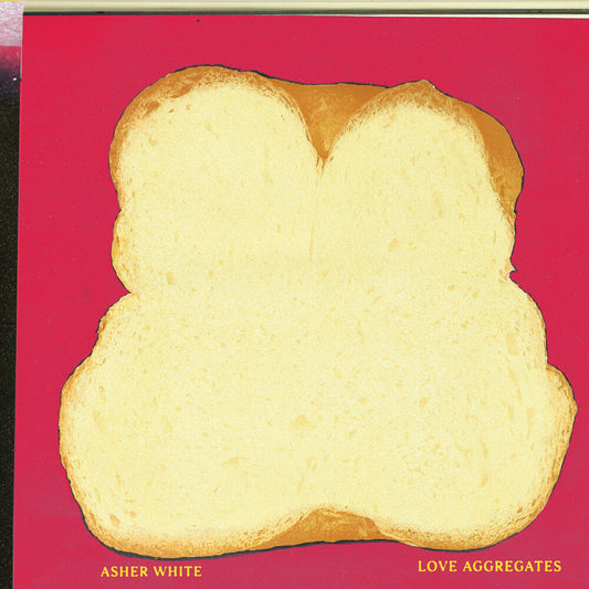 the album cover for Asher White - Love Aggregates