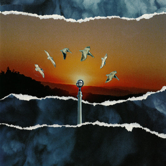 the album cover for Daisyhead - If You Find It Let Me Know [Colored Vinyl]