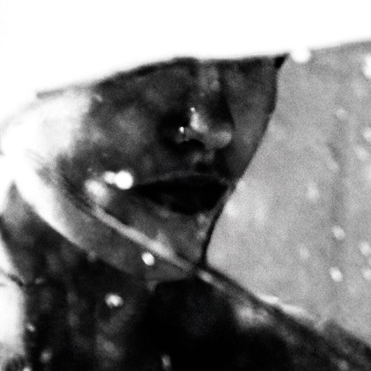 the album cover for Purgate - Leavings