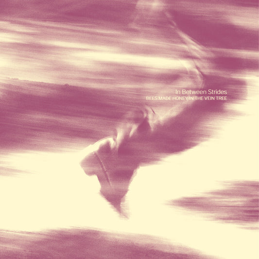 the album cover for Bees Made Honey in the Vein Tree - In Between Strides [Digipak]