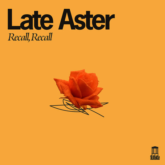 the album cover for Late Aster - Recall Recall