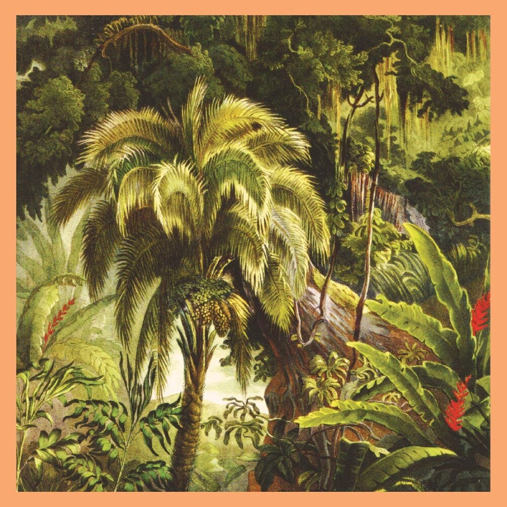 the album cover for Xiu Xiu - La Foret - Jade Eco-Mix [Colored Vinyl]