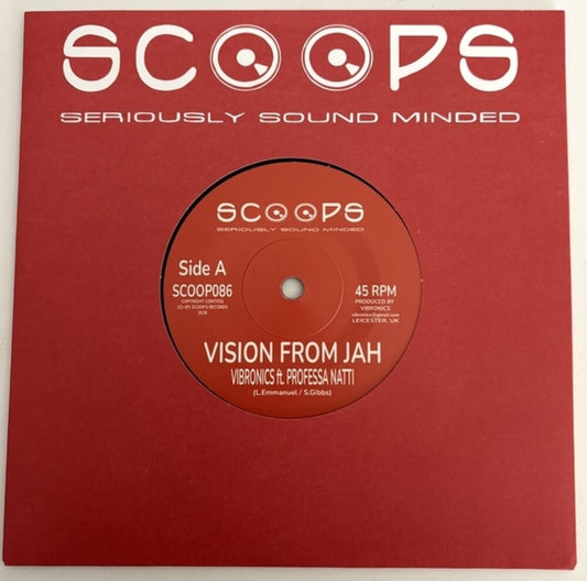 the album cover for Vibronics / Professa Natti - Vision From Jah