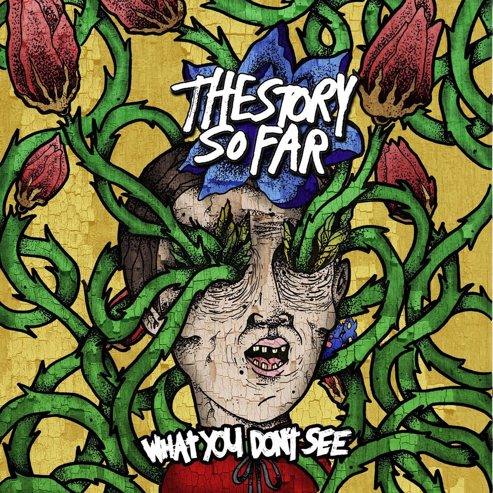 the album cover for Story So Far - What You Don't See [Colored Vinyl] (Mrb)