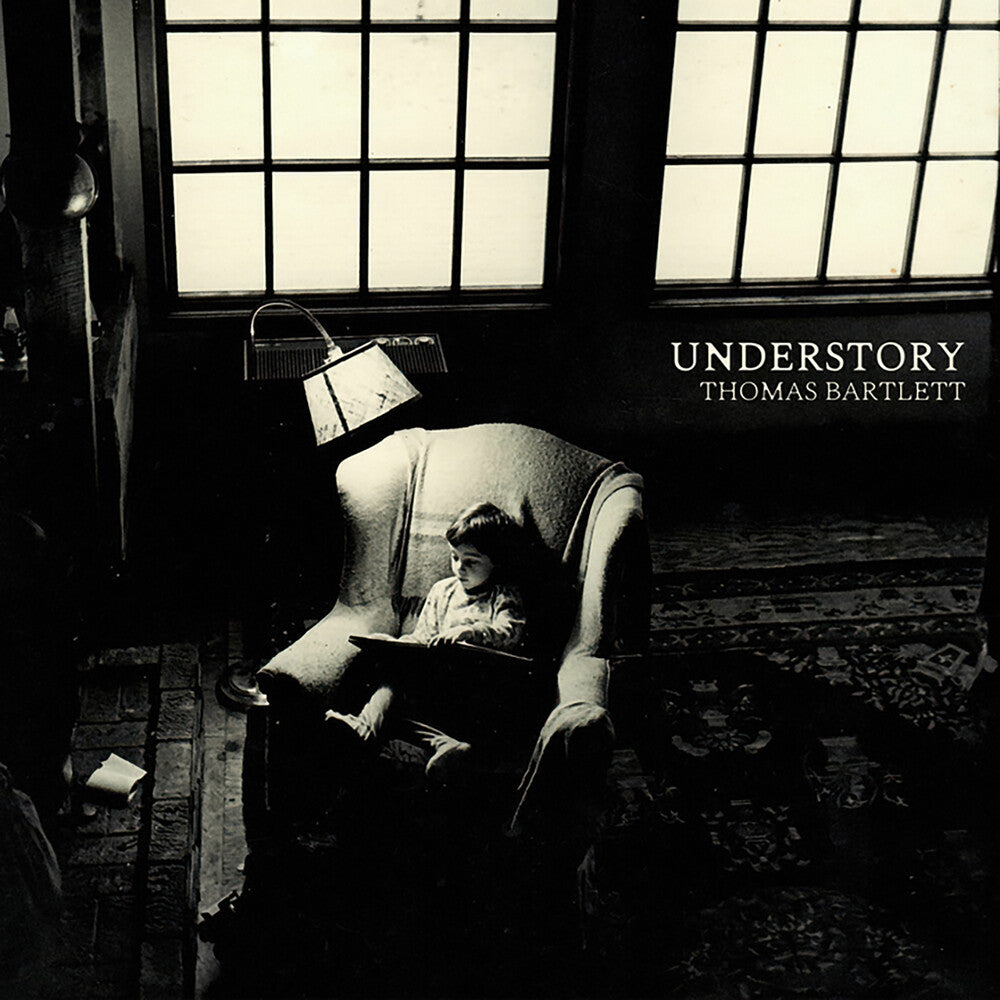 the album cover for Thomas Bartlett - Understory