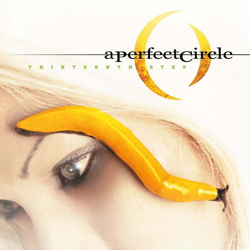 the album cover for A Perfect Circle - Thirteenth Step [Import LP]