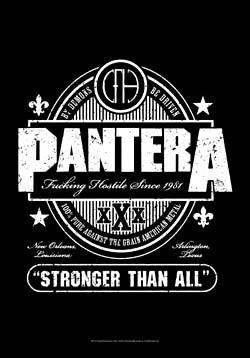 Pantera Stronger Than All Flag