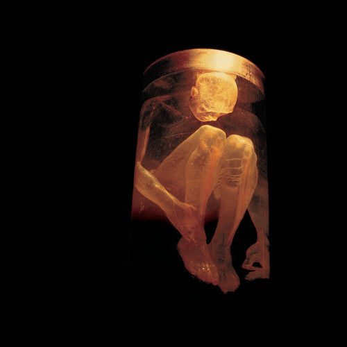 Alice In Chains Nothing Safe Best Of CD